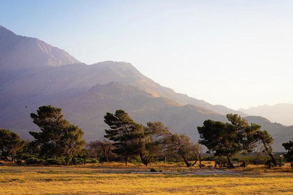 "California Sceneries" Prints and Products