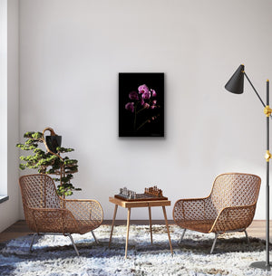 Orchids coming out of the darkness - Art Print