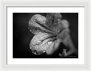 Black and White Wildflower - Framed Print