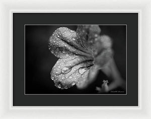 Black and White Wildflower - Framed Print