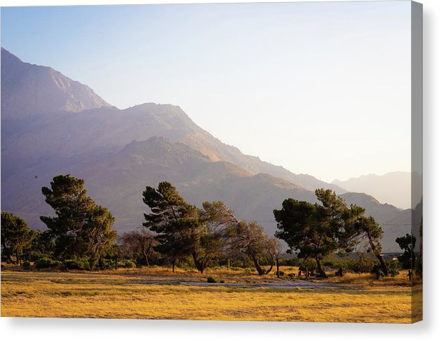California Sceneries - Canvas Print