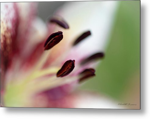 Calla Lily Series Coffee Beans - Metal Print