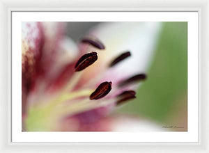 Calla Lily Series Coffee Beans - Framed Print