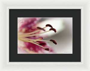 Calla Lily Series Piston - Framed Print