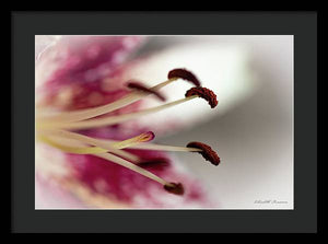 Calla Lily Series Piston - Framed Print