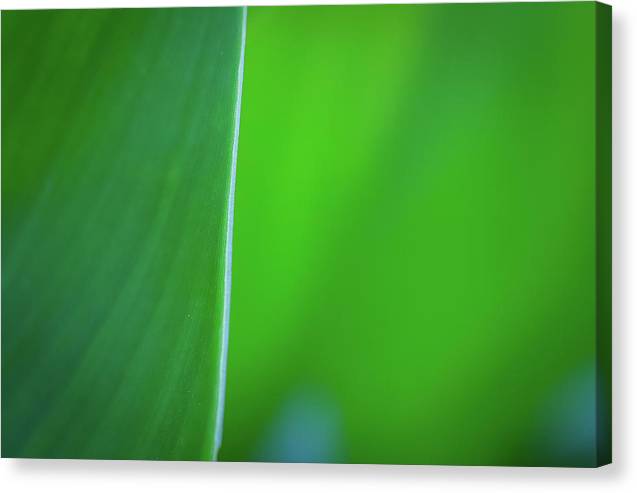 Ephemeral Beauty - Canvas Print