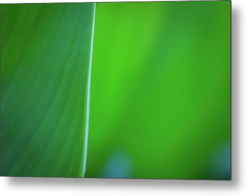 Ephemeral Beauty - Metal Print