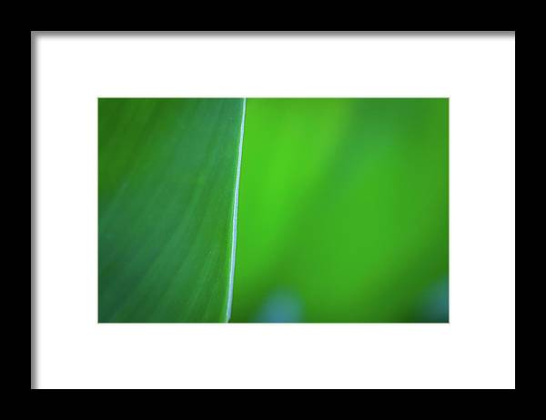 Ephemeral Beauty - Framed Print