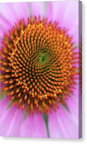 In the center of the flower - Canvas Print