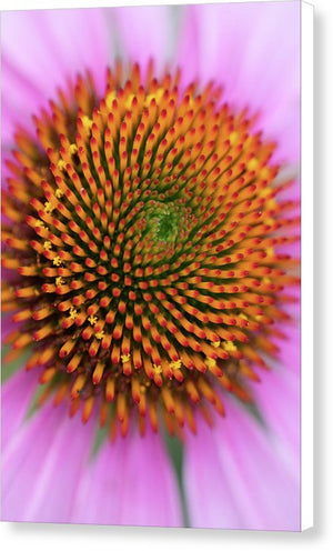 In the center of the flower - Canvas Print