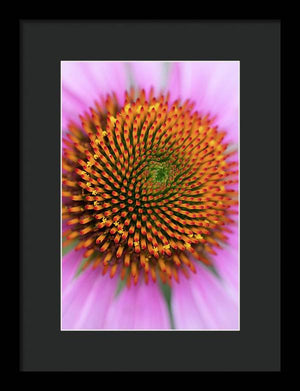 In the center of the flower - Framed Print