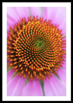In the center of the flower - Framed Print