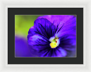 Lilac Watercolor - Framed Print