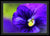 Acuarela lila - Impresión enmarcada