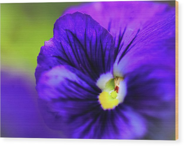 Lilac Watercolor - Wood Print