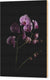 Orchids coming out of the darkness - Wood Print