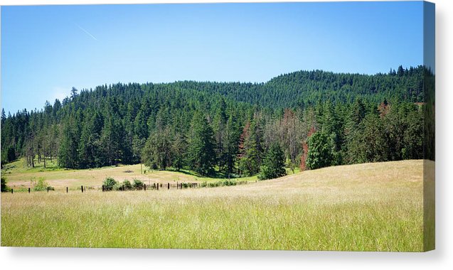 Oregon - Canvas Print