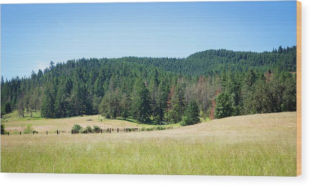 Oregon - Wood Print