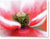 Polen en una flor de amapola - Lienzo