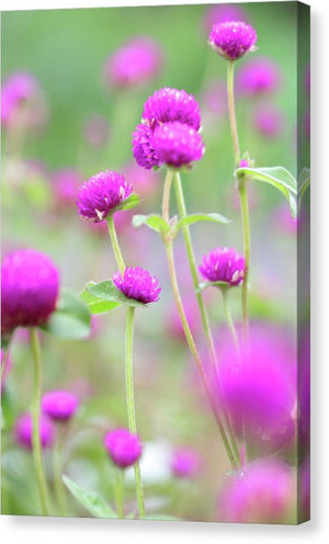 Purple Little flowers - Canvas Print