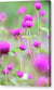Purple Little flowers - Canvas Print