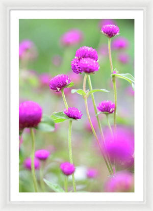 Purple Little flowers - Framed Print