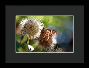 The Butterfly's Perch - Framed Print
