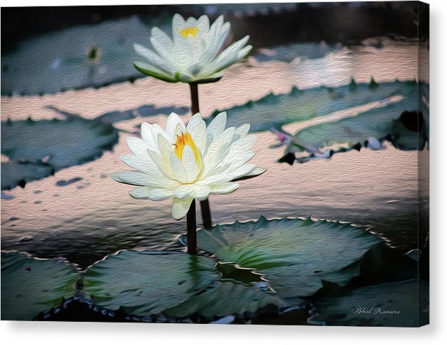 Water Lilies Oil Painting - Canvas Print