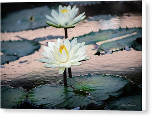 Water Lilies Oil Painting - Canvas Print