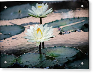 Water Lilies Oil Painting - Acrylic Print