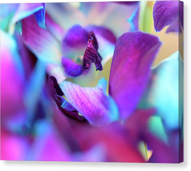 Watercolor Lilies  - Canvas Print