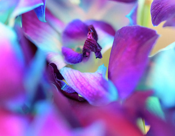 Watercolor Lilies  - Art Print