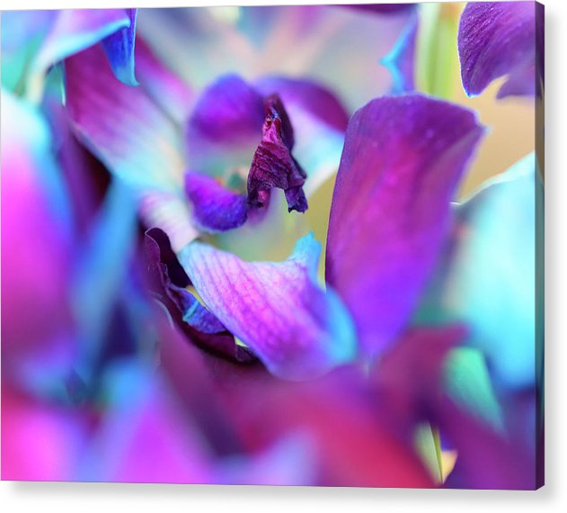 Watercolor Lilies  - Acrylic Print