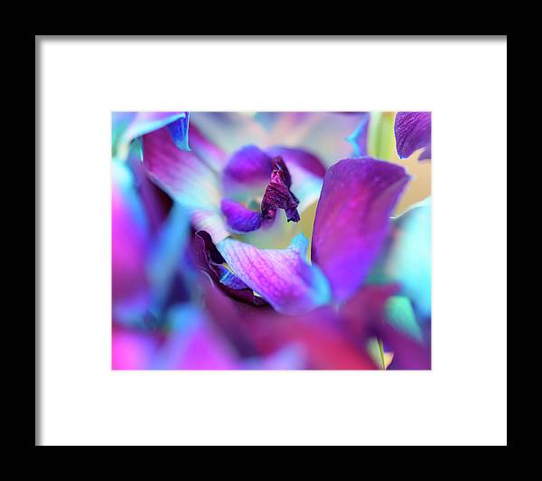 Watercolor Lilies  - Framed Print