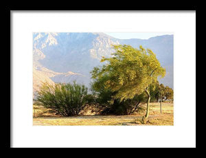 Windblown California Landscapes - Framed Print