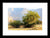 Windblown California Landscapes - Framed Print